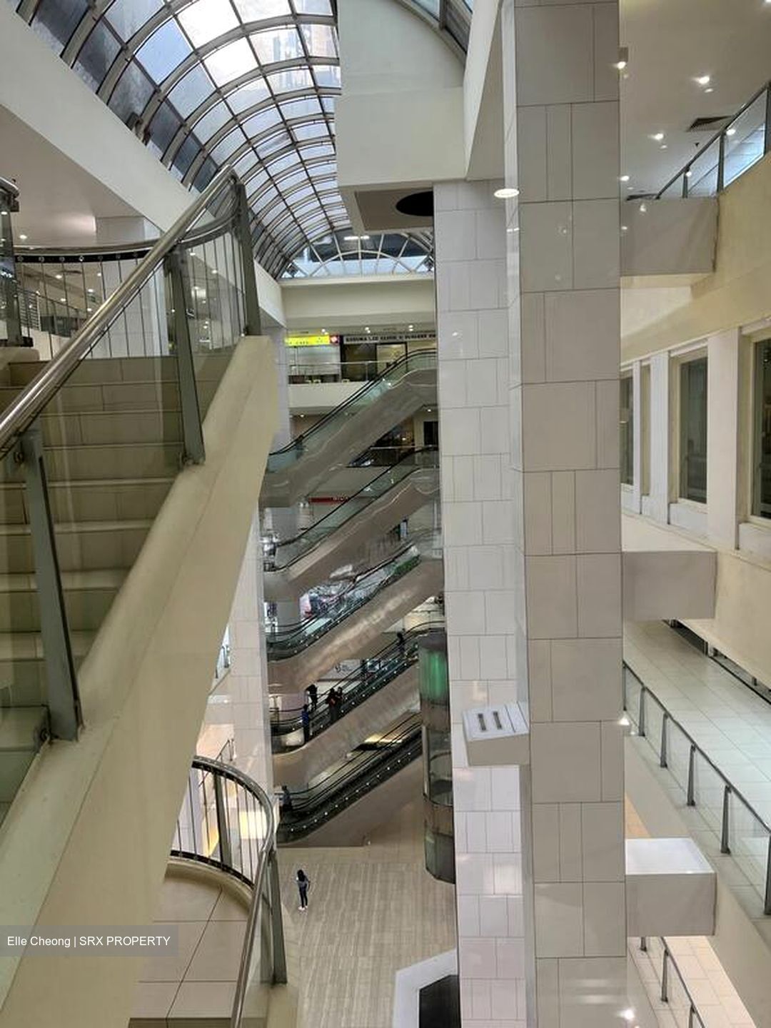 Lucky Plaza (D9), Shop House #496034471